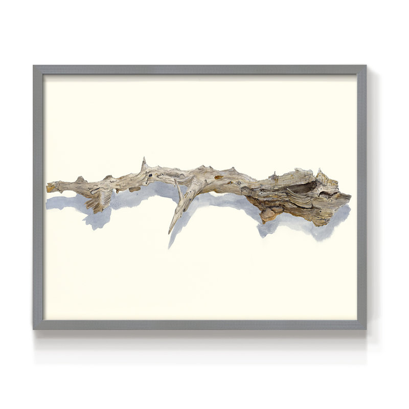 «Driftwood Study I», reproduction encadrée, H 8 po x l 10 po, Gris