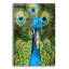 Art mural en verre Red Barrel Studio® «Peacock Face Bf» par Carol Cavalaris-407439066