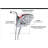 8-Spray Dual Shower Head & Handheld Combo, Adjustable Water-Saving 1.8 GPM, Wall-Mounted, Hose & Shower Arm Included, Chrome Color-121598829