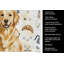 Serviette de cuisine Golden Retriever-1234934440