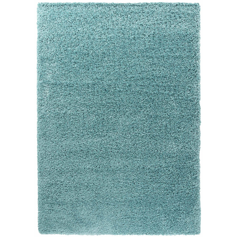 Esterly Shaggy Duck Egg Blue Rug, Rectangle 60 x 110cm