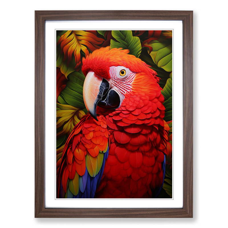 Parrot Colour Field - Single Picture Frame Print on Wood, Walnut Framed, 34cm H x 25cm W x 2" D