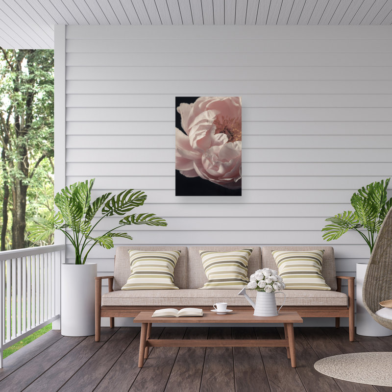 Alyson Fennell  Coral Peony Flower Closeup Outdoor  Canvas, H 12 po x l 19 po
