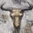 Bull Skull Typography Canvas | Industrial Bedroom Decor