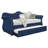 Upholstered Velvet Wood Daybed With Trundle-494525347