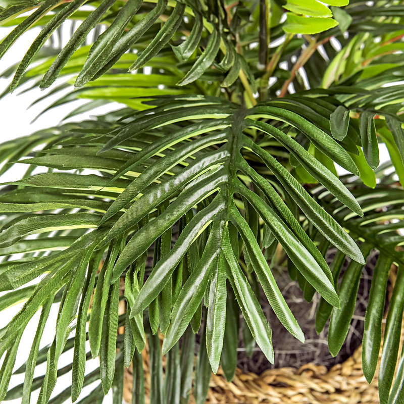 14'' Faux Palm Plant in Wicker/Rattan Basket