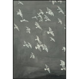 Flight 1 Print by Thom Filicia
