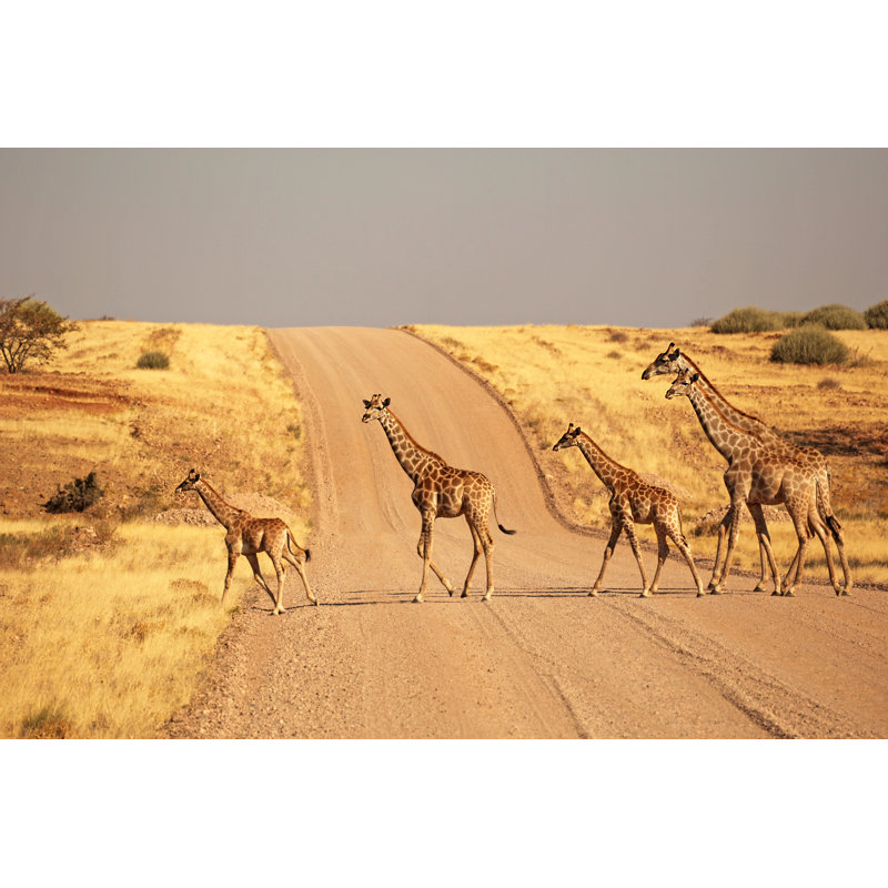 Group Of Giraffes by JurgaR - Wrapped Canvas Print, 51cm H x 76cm W x 3.8cm D