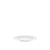 Porcelain Dinner Plate