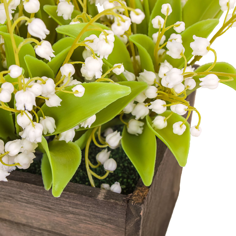 Muguet dans une boîte en bois, Blanc