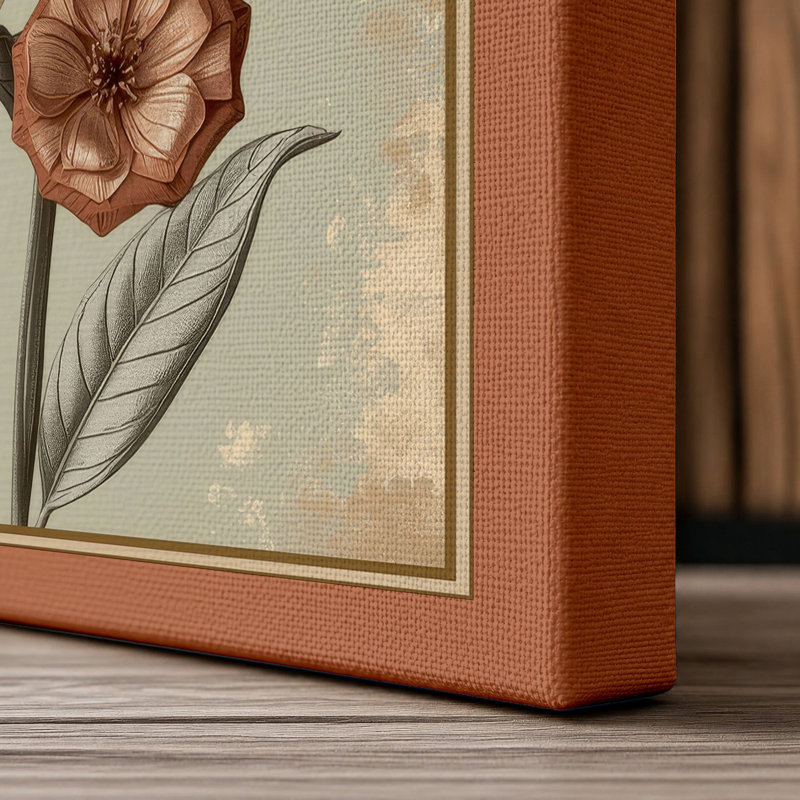 Studies Botanical - Wrapped Canvas, 30x20 - 76.2 x 50.8 cm, Terracotta Border