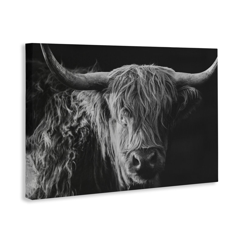 Scottish Highland Portrait, conception de Crystal Lynn Collins, H 30 po x l 45 po