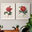 «Red Botanical III», ensemble de 2 peintures sur toile encadrées-2083011458-2083011471