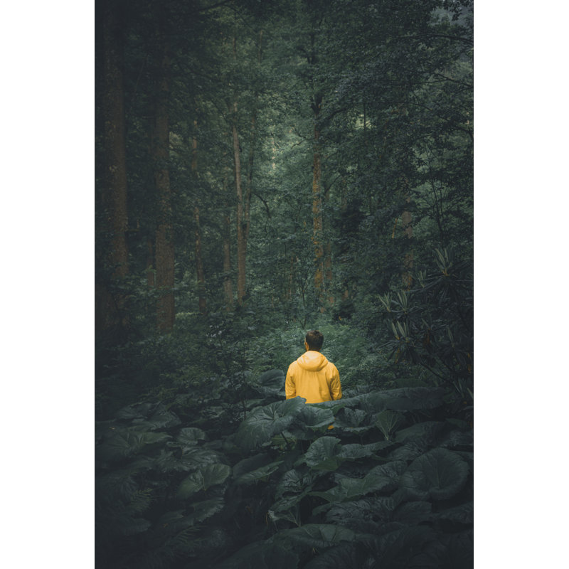Young Man Hiking by Serts - No Frame Print on Canvas, 30cm H x 20cm W