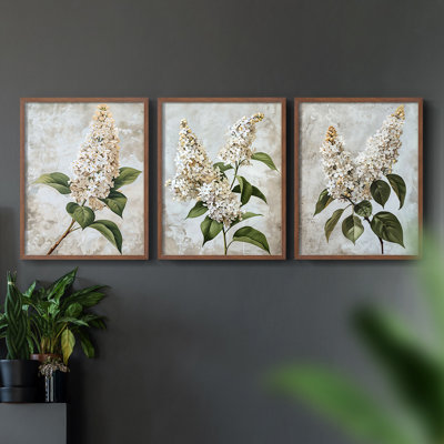 Série d'étude florale Lxxxiv - ensemble de 3 estampes numériques encadrées - prêt à être accroché