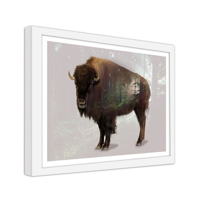 Gerahmter Fotodruck Buffalo