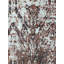 Tapis 7 pi 9 po ivoire en laine nouée à la main à motif floral moderniste