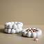 Assiette brillante-109848221