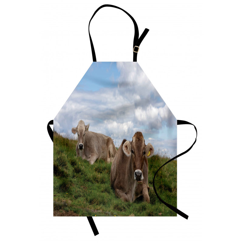 Bib Apron