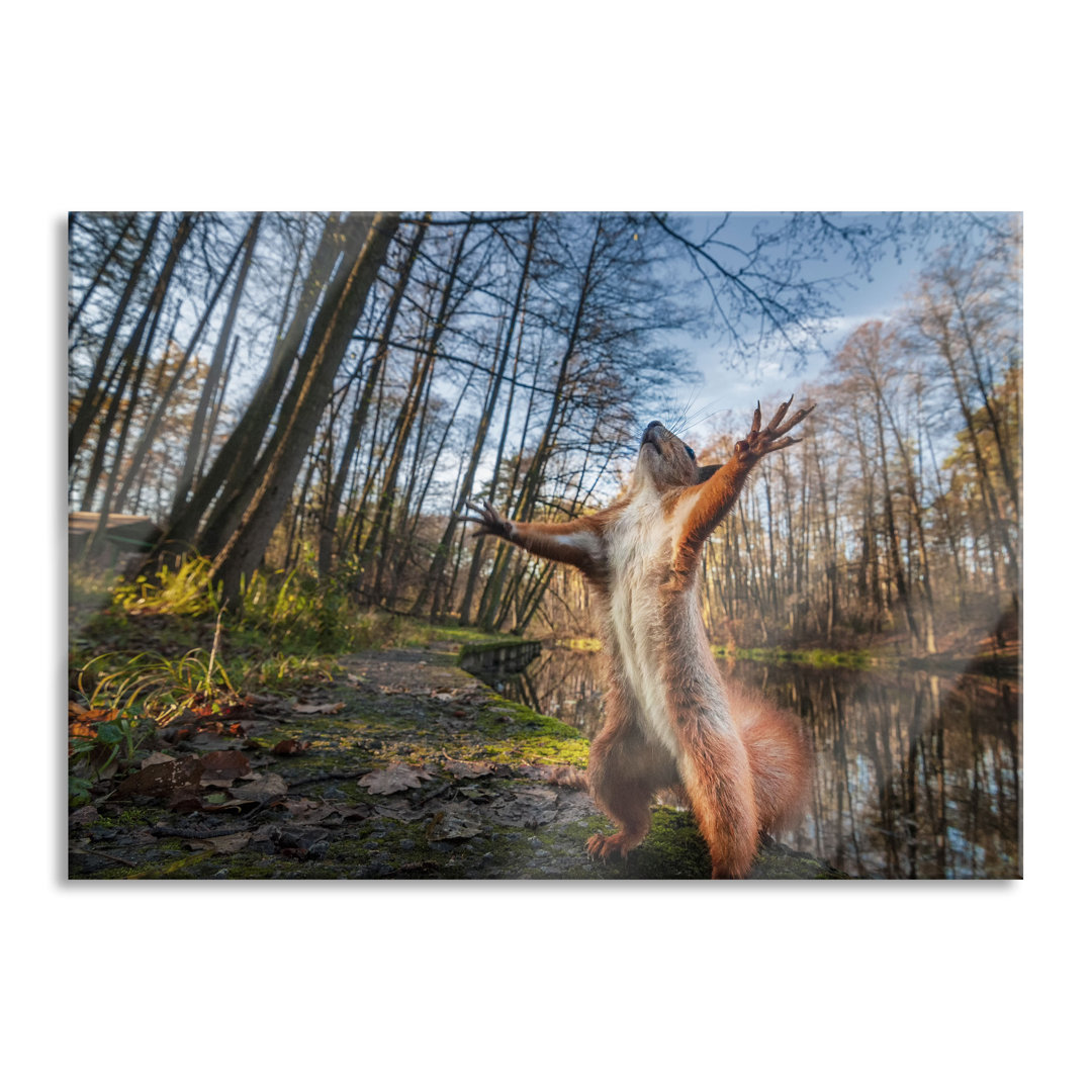 Glasbild Lustiges Eichhörnchen steht im Wald