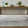 Oriental Area Rug in Gray