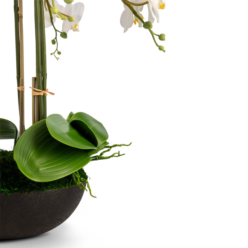 Arrangement Abella RealTouch Orchid, Blanc