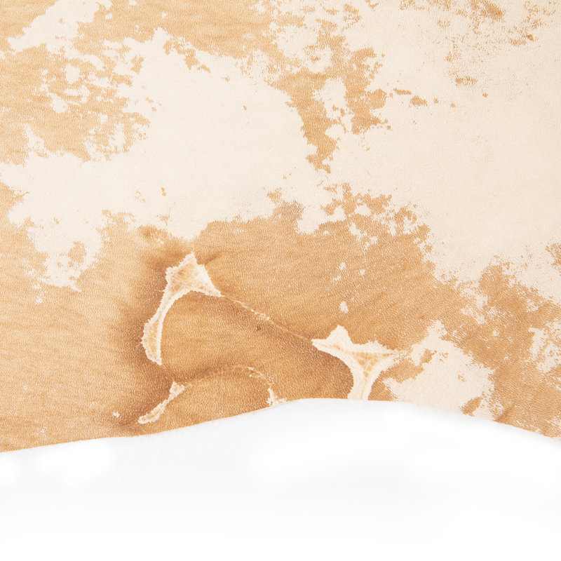 Harland Cowhide Animal Print Area Rug in Ivory