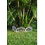 Bordure de jardin Evelyne: motif de feuilles et d'oiseaux-120273544-120381390