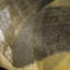 Crafted Glimmery Glaze Design 27.9' L x 27.5" W Wallpaper Roll-74684538