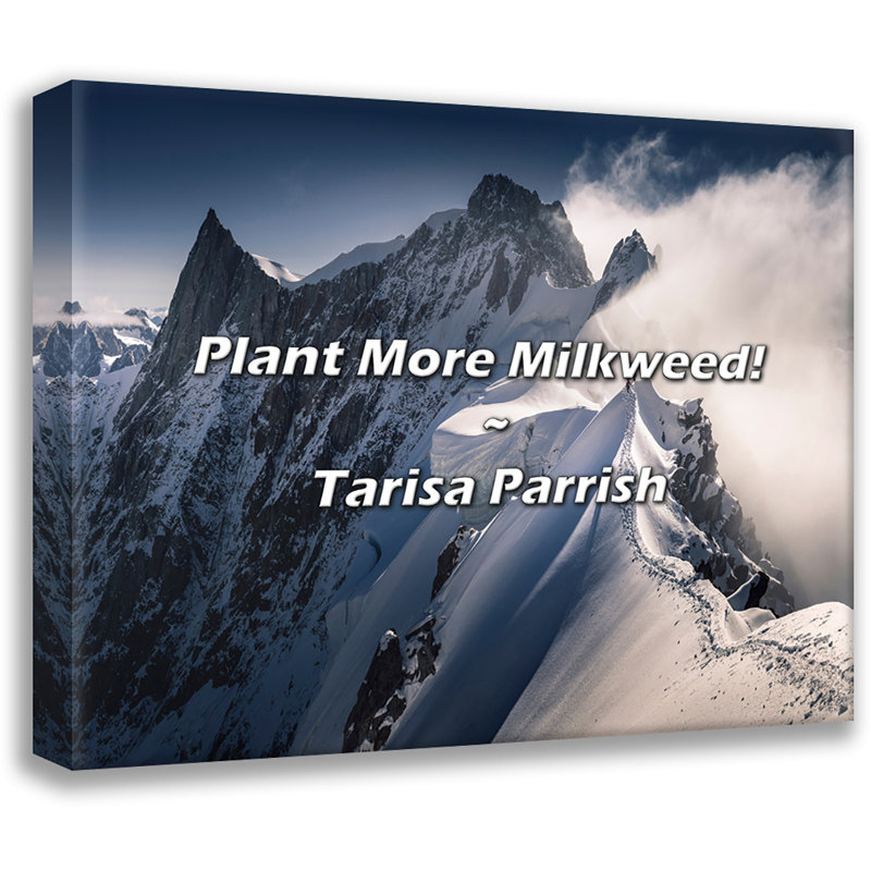Citation de Tarisa Parrish: Plantez plus d'asclépiade!, H 20 po x l 24 po