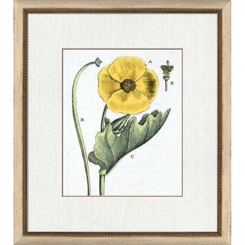 Botanical La Flore III Painting