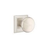 Double Dummy Providence Knob with Quincy Rose
