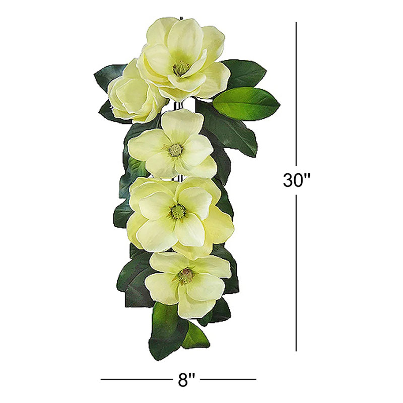30 po Magnolia Teardrop , Crème