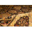 Hand Woven Wool Floral Area Rug