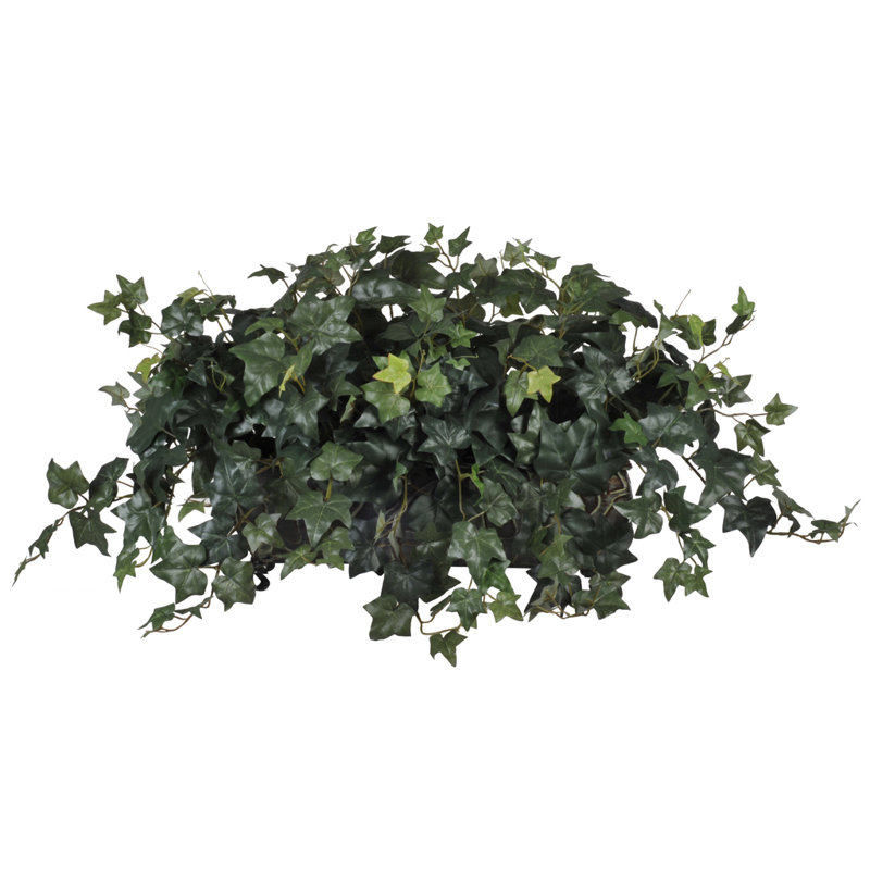 Fausse plante lierre en pot