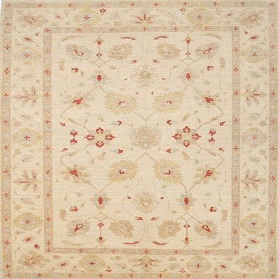 Oriental Indoor Rug