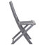 Ensemble de 2 chaises d'extérieur vidaXL