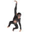 Hanging Jungle Monkey Statue