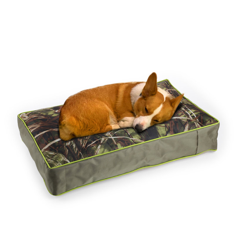 Coussin pour chien avec housse amovible, H 6,2 po x l 23,6 po x P 15,75 po