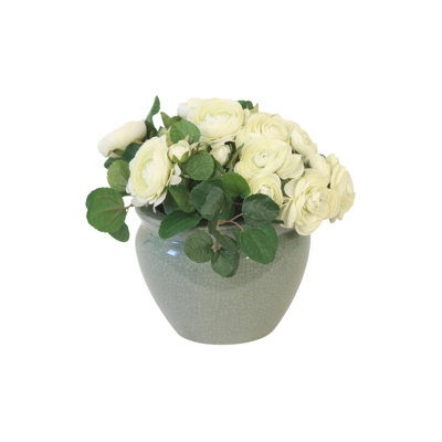 Cream Green Ranunculus in Sage Vase