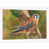 Toile tendue