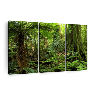 «Jungle Ferns Forest» sur toile