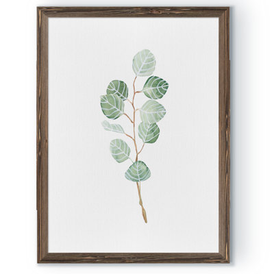 " Soft Eucalyptus Branch III " by Paul Cezanne Acrylic Painting