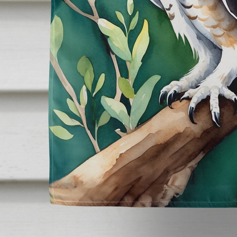 House Flag, Western Screech Owl