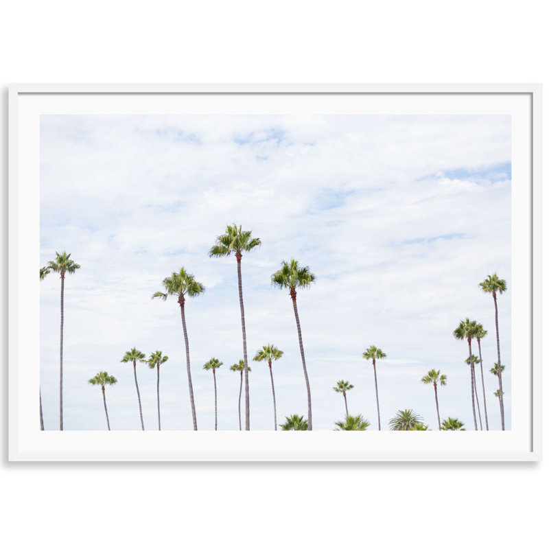 Montecito Palms Print by Carly Tabak, 25" W x 18" H, White Wood