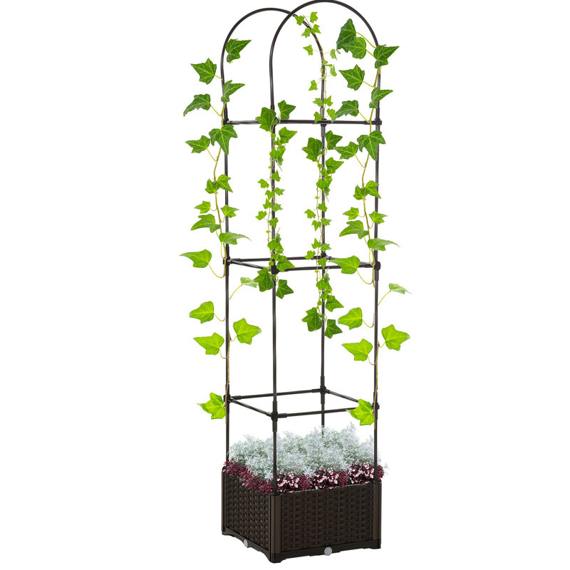 Raised Garden Bed with Trellis
