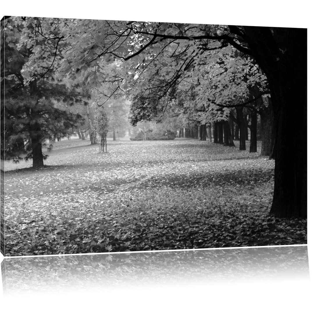 Leinwandbild Schöner Park im Herbst