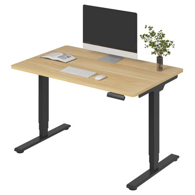 3-Stage Dual Motor Electric Standing Desk