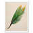 White Framed Paper is out of stock