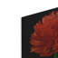 «Red Flower On Black 04» par Tom Quartermaine-1809045207
